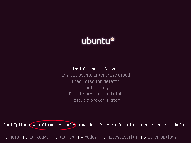 Screenshort of Ubuntu 10.04 install